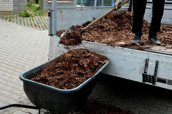Mulch Delivery And Spreading - Mulch Delivery And Spreading Long Island, New York