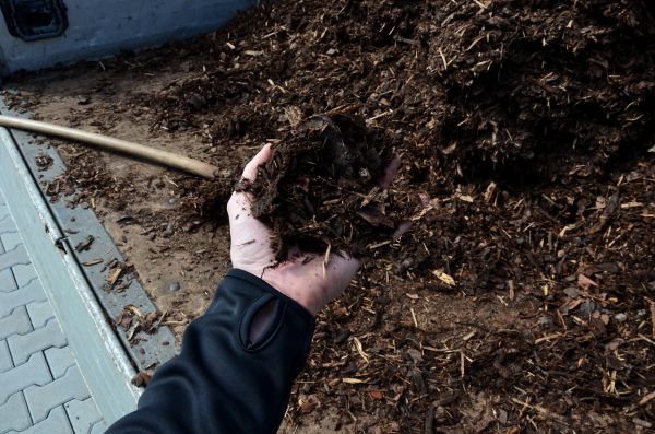 Mulch Dropoff