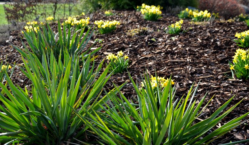 Mulch Delivery And Spreading